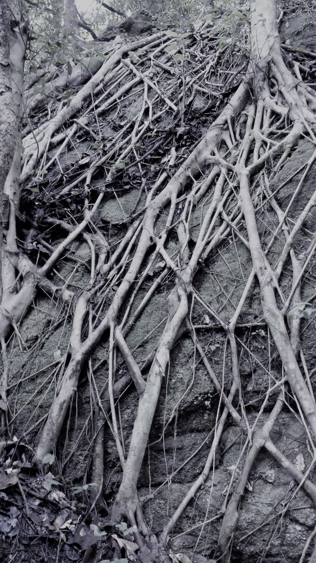 Boulder holder NaamaYehuda