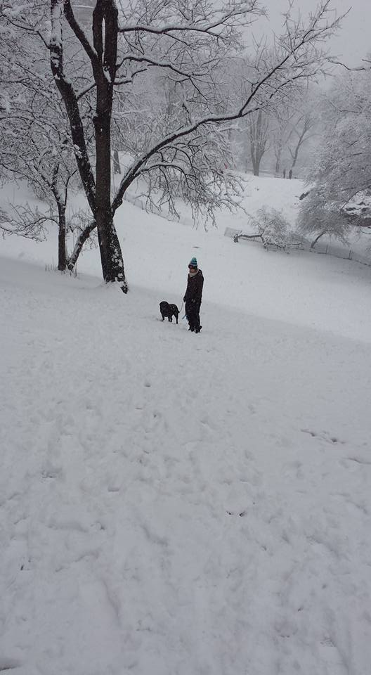 April snow2 NaamaYehuda