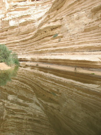 Reflection AmitaiAsif