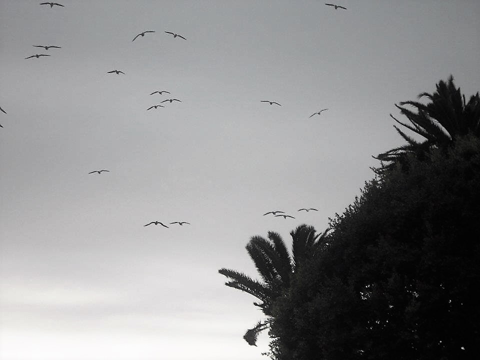 Farther chagitmoriahgibor