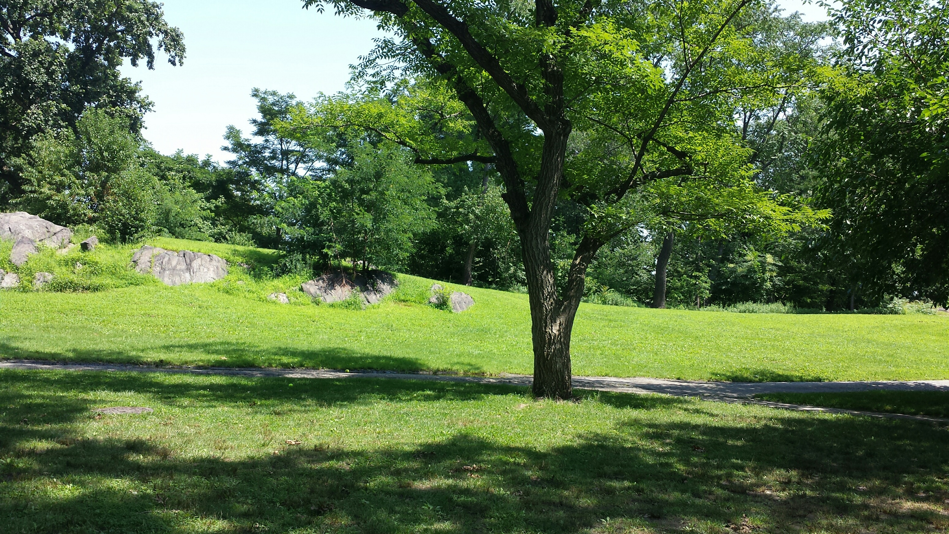 central park sun and shade naamayehuda