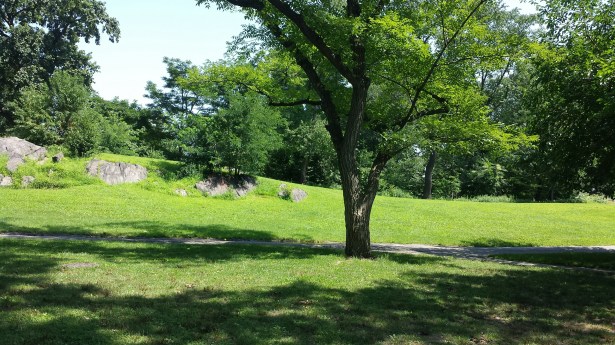 central park sun and shade naamayehuda