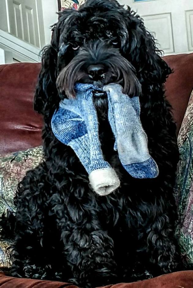 laundry helper karenforte