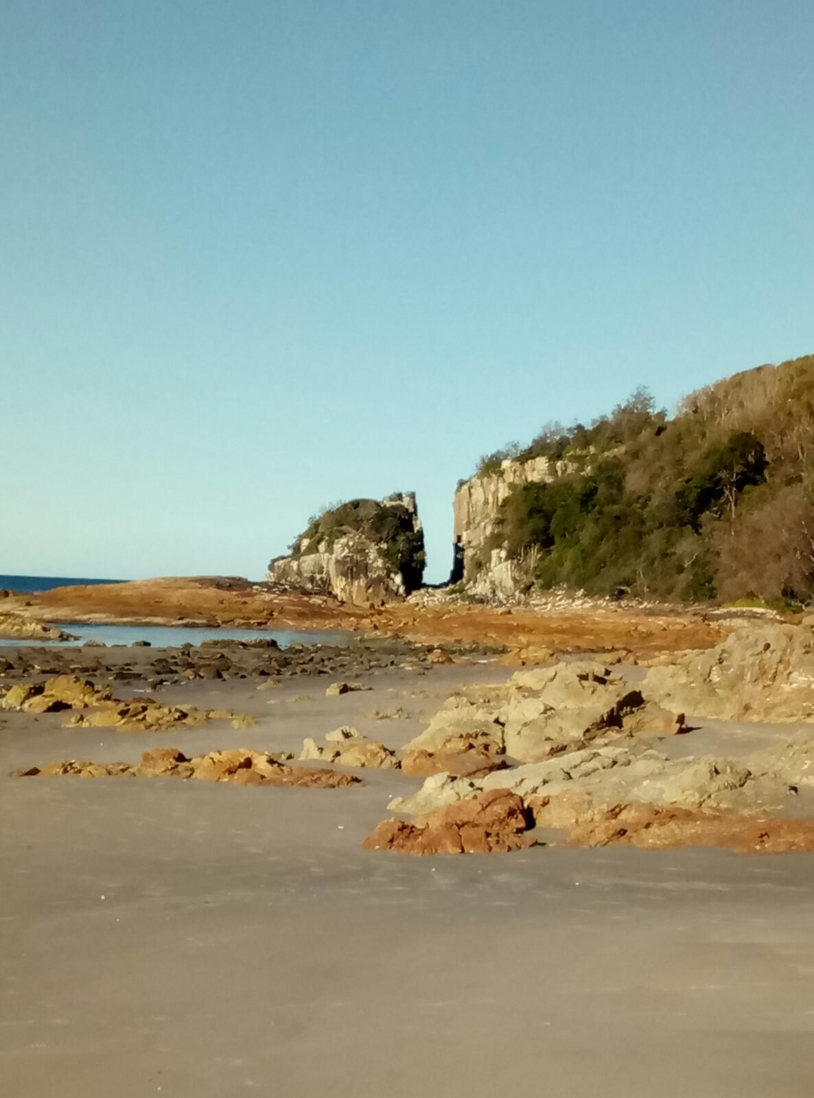 Australia S. Levenberg