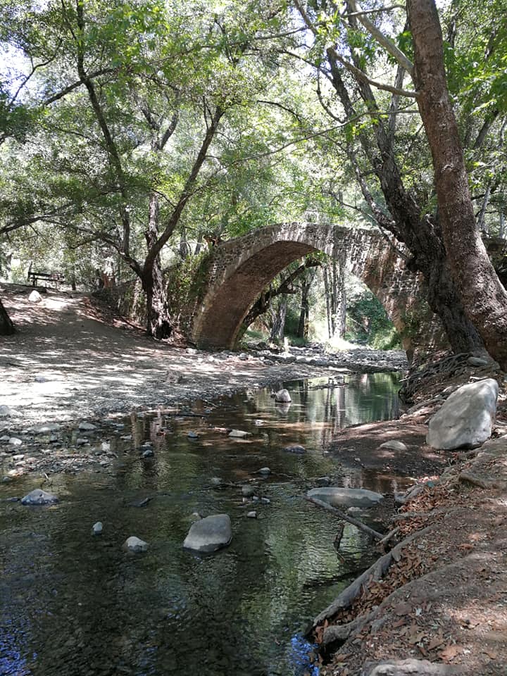bridge over quiet water SmadarHalperinEpshtein