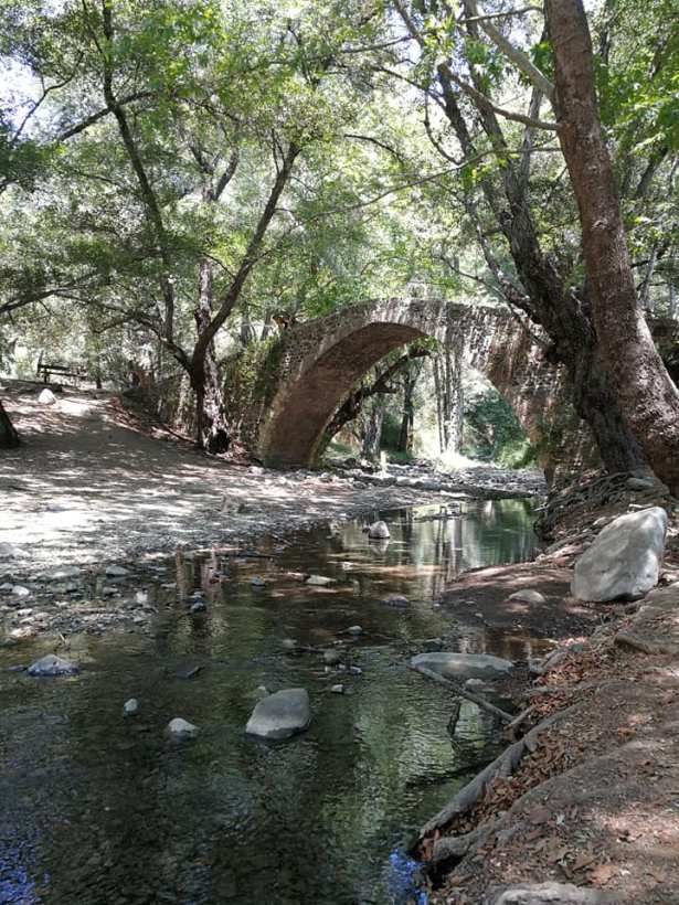 bridge over quiet water SmadarHalperinEpshtein