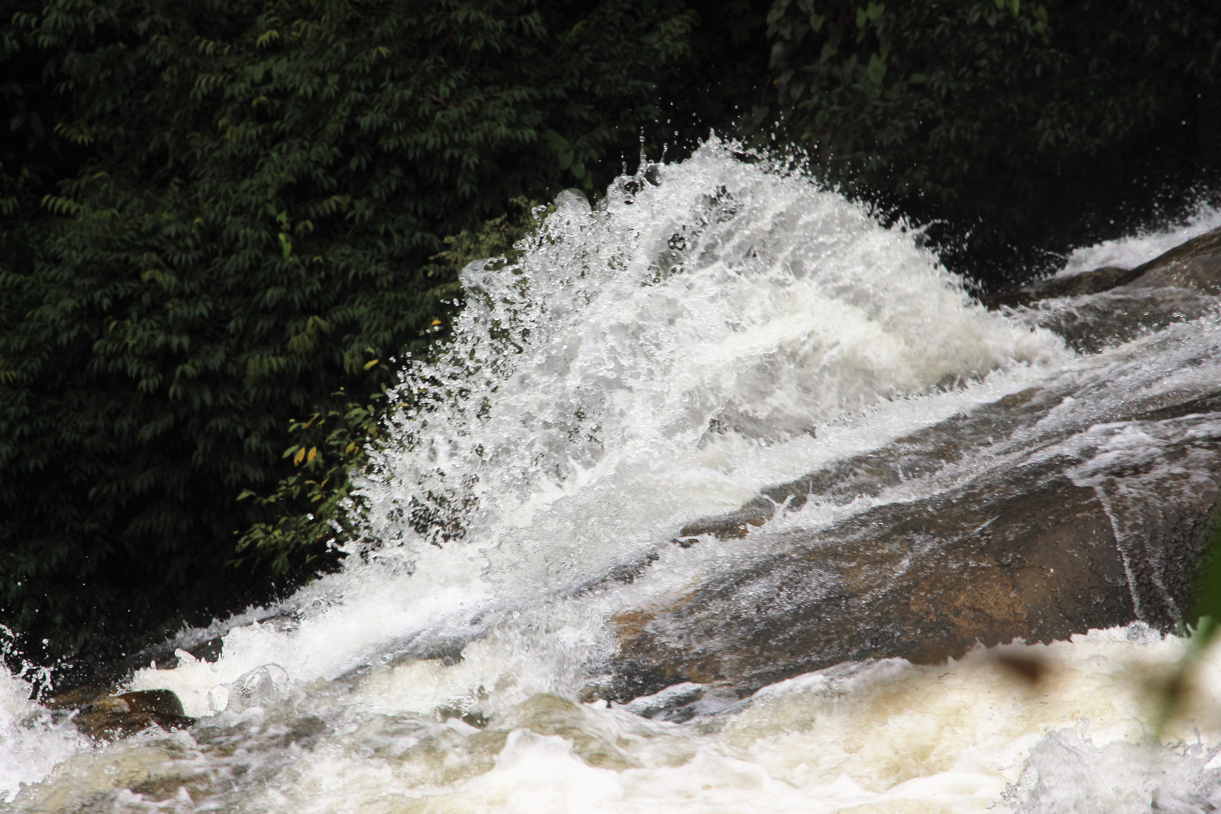 In motion AdiRozenZvi