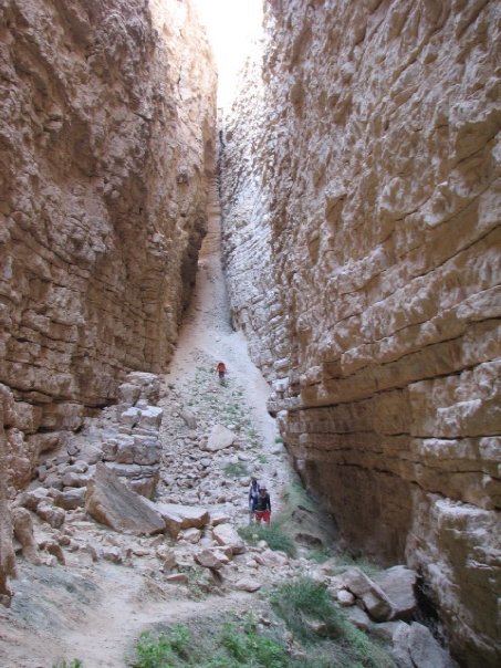 layered trek OsnatHalperinBarlev