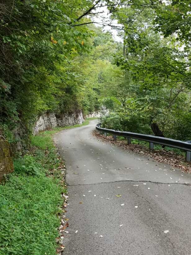 winding road PhilipCoons