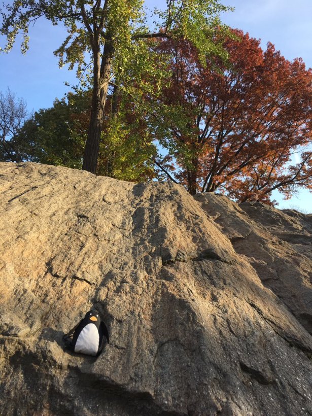 Opus Penguin Rock Climb JimMoore