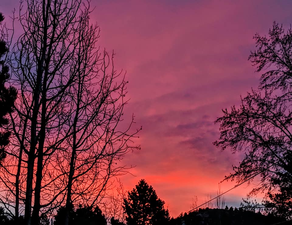 pink sunrise KarenForte