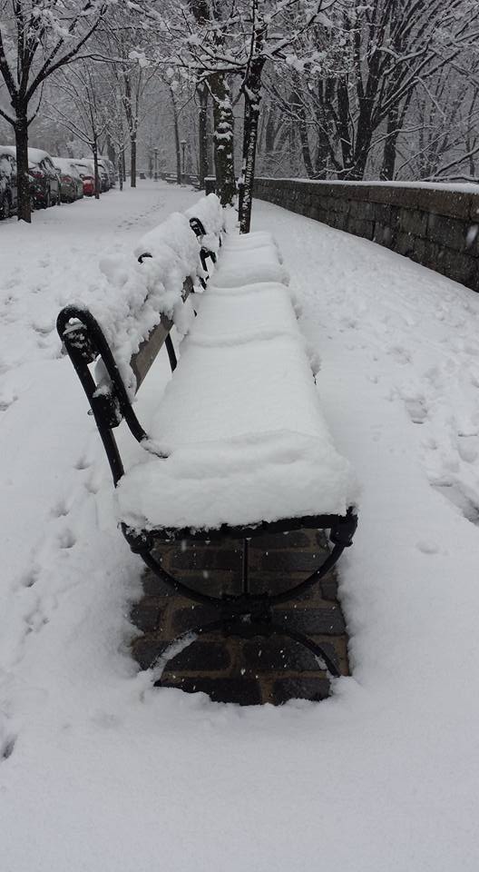 April snow3 NaamaYehuda