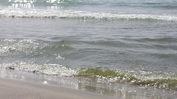 Its own reward NaamaYehuda