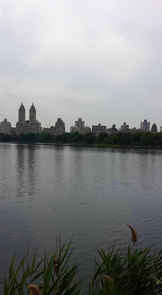 Central Park NYC NaamaYehuda