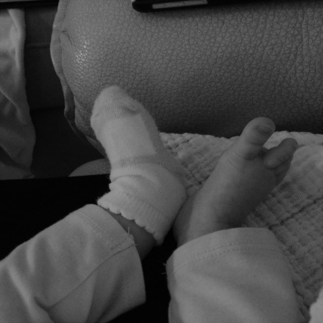 Lost Sock ArletteLoeser