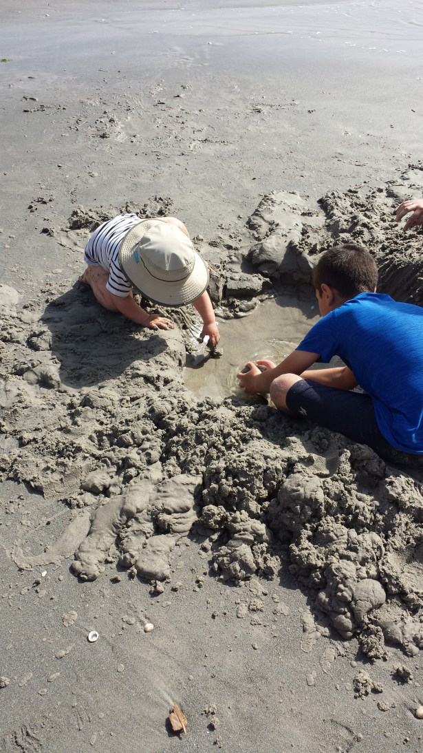 Preview Warmth NaamaYehuda