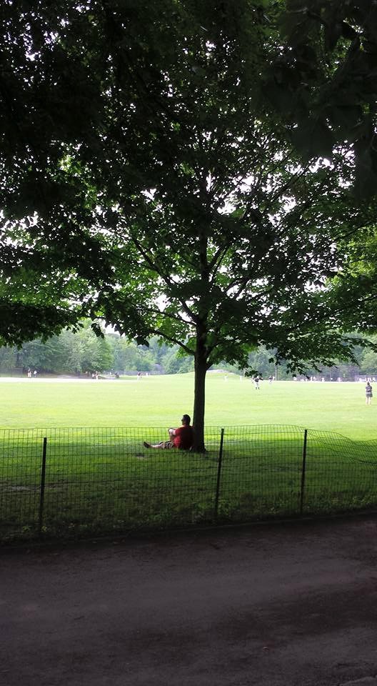 CentralPark Peace NaamaYehuda