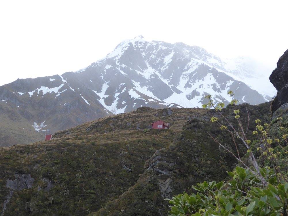 Heidi House AtaraKatz