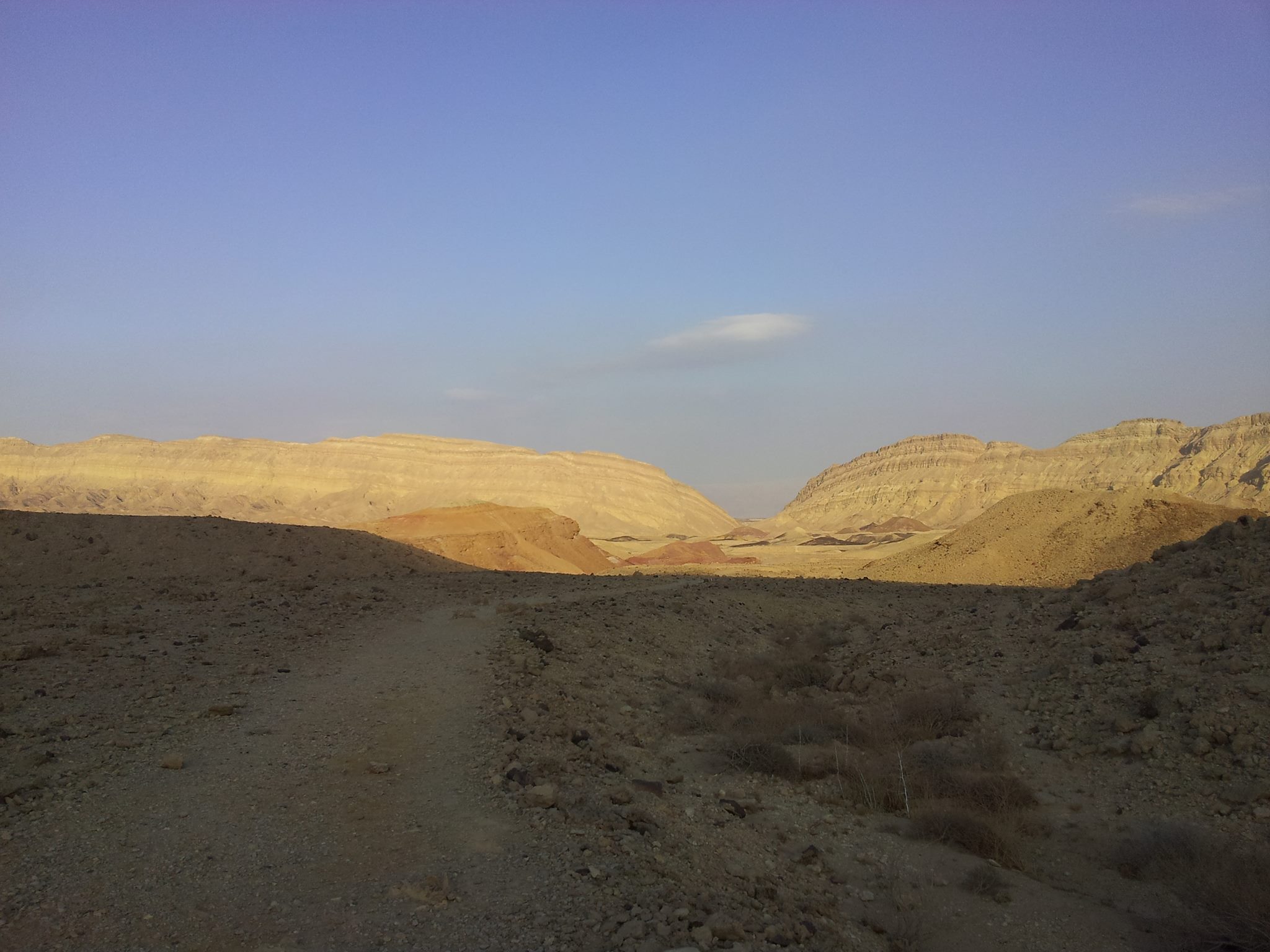 shadow path OfirAsif