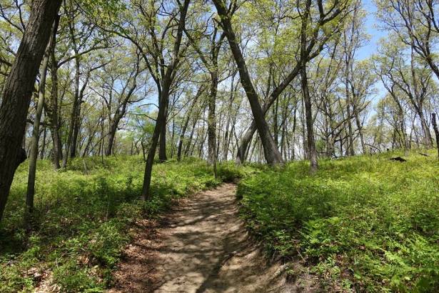 sun shade path PhilipCoons