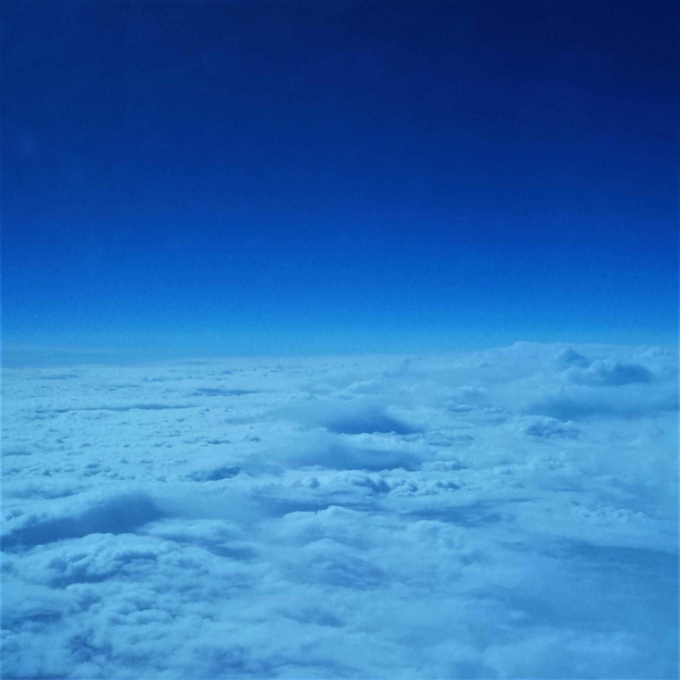 Arctic blue NaamaYehuda