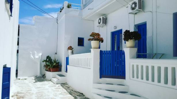 BlueWhite DvoraFreedman