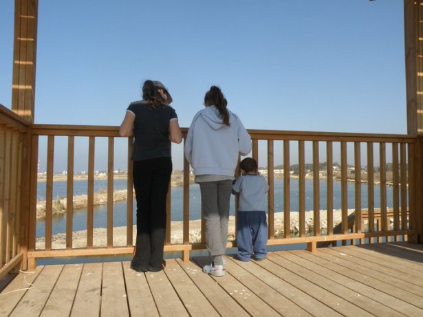 Rectangled view SmadarHalperinEpshtein