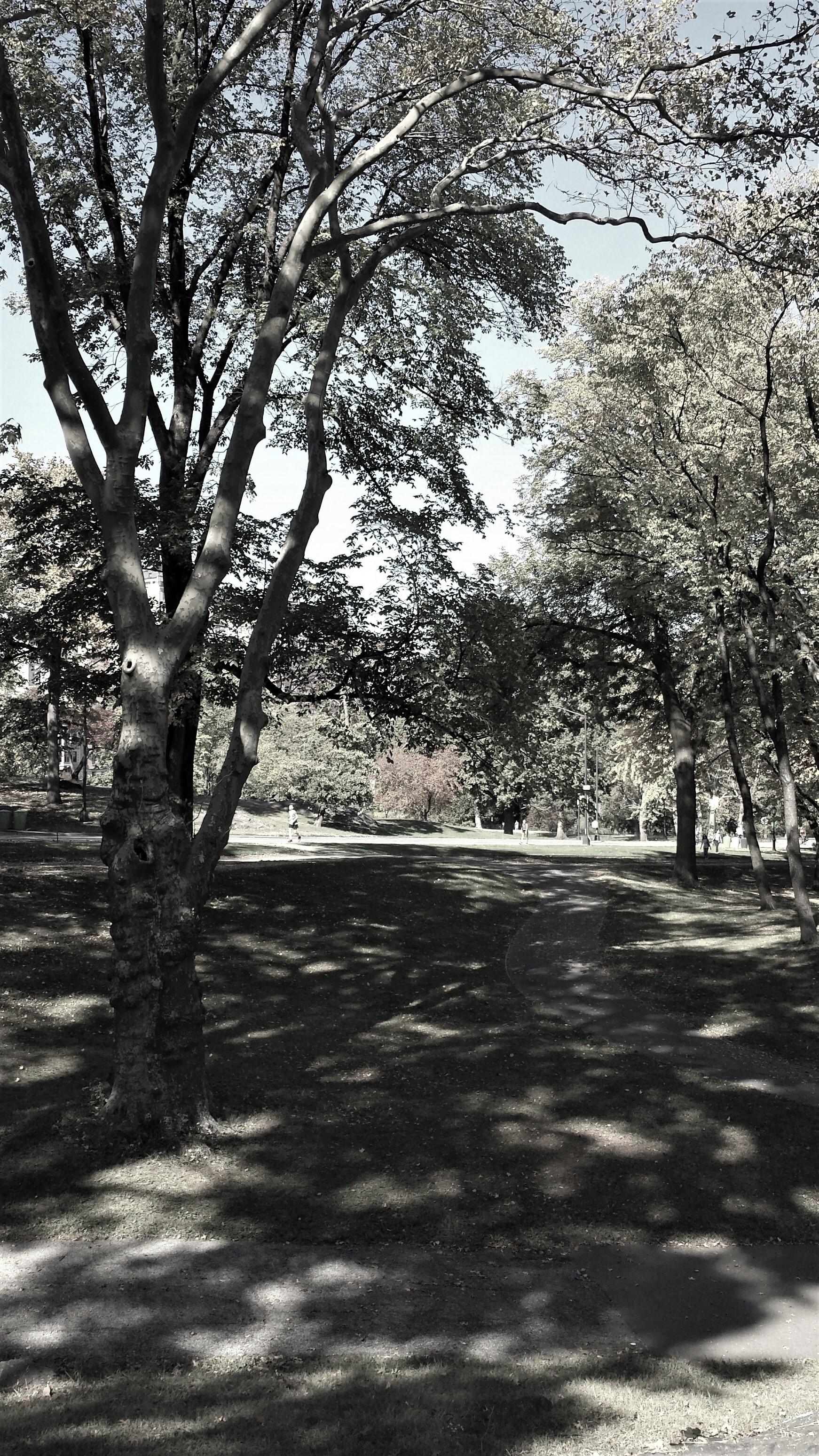 shadows NaamaYehuda (2)