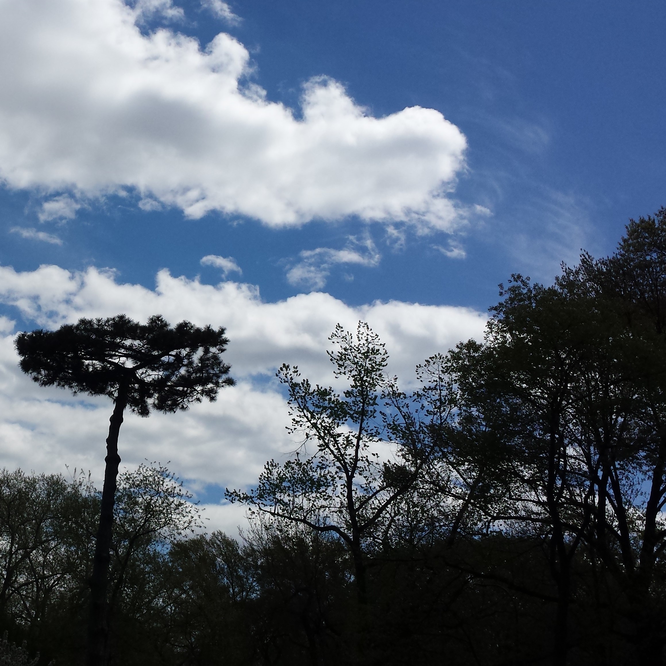 TheBlues NaamaYehuda