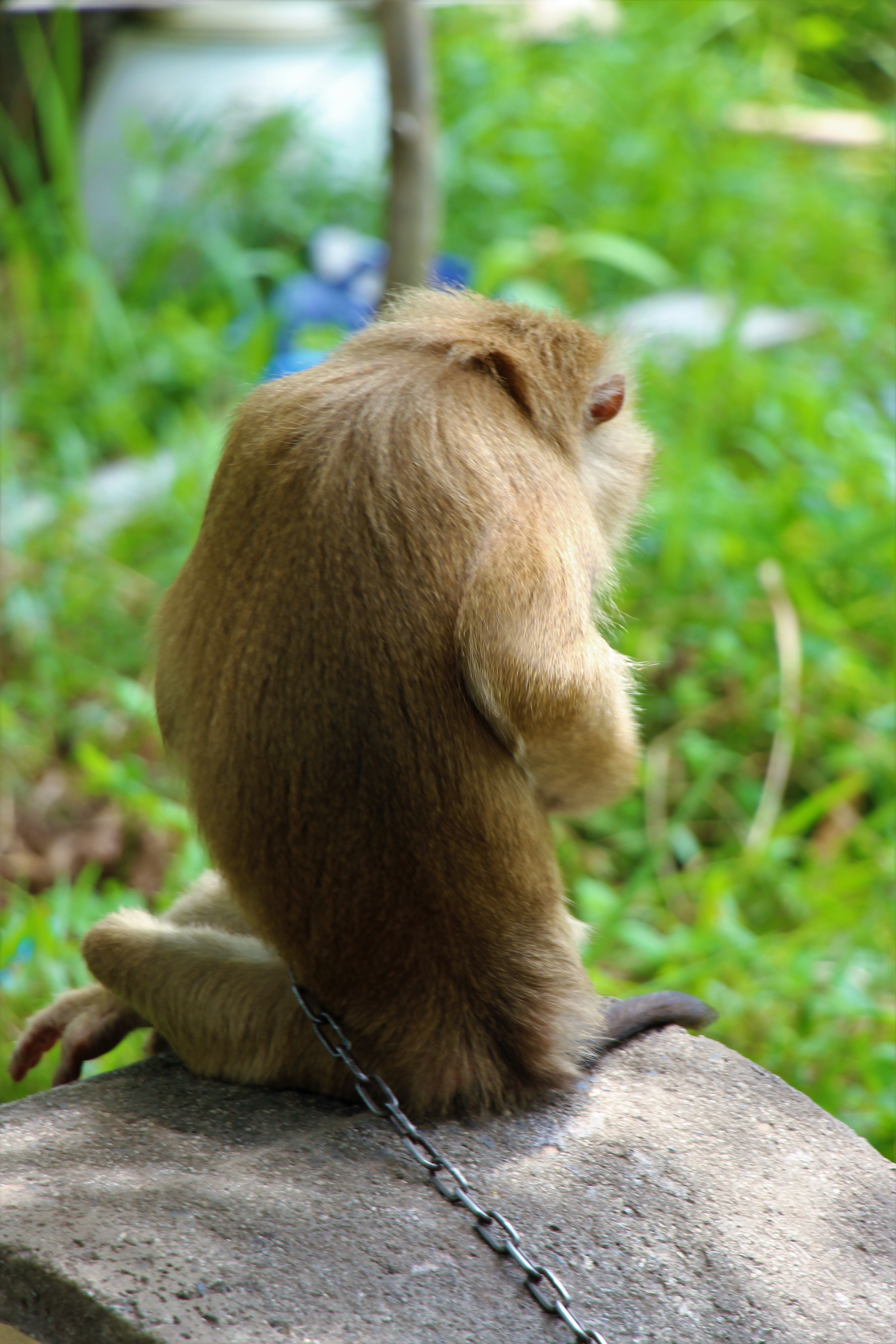 Locked up AdiRozenZvi2