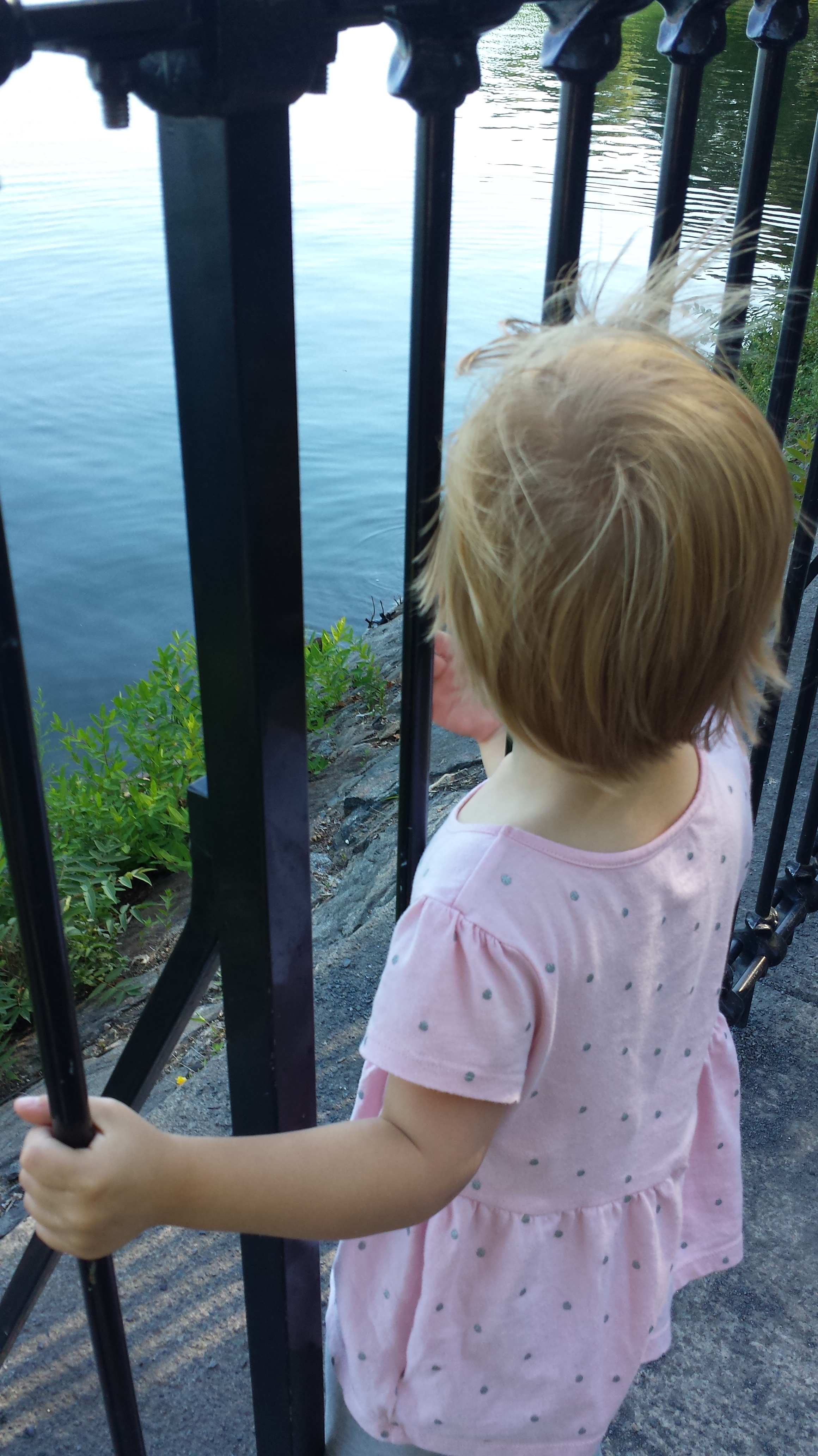 NYC afternoon NaamaYehuda