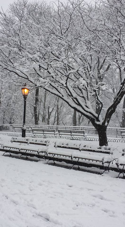 April Snow NaamaYehuda