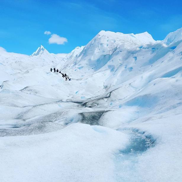 Not penguins InbarAsif