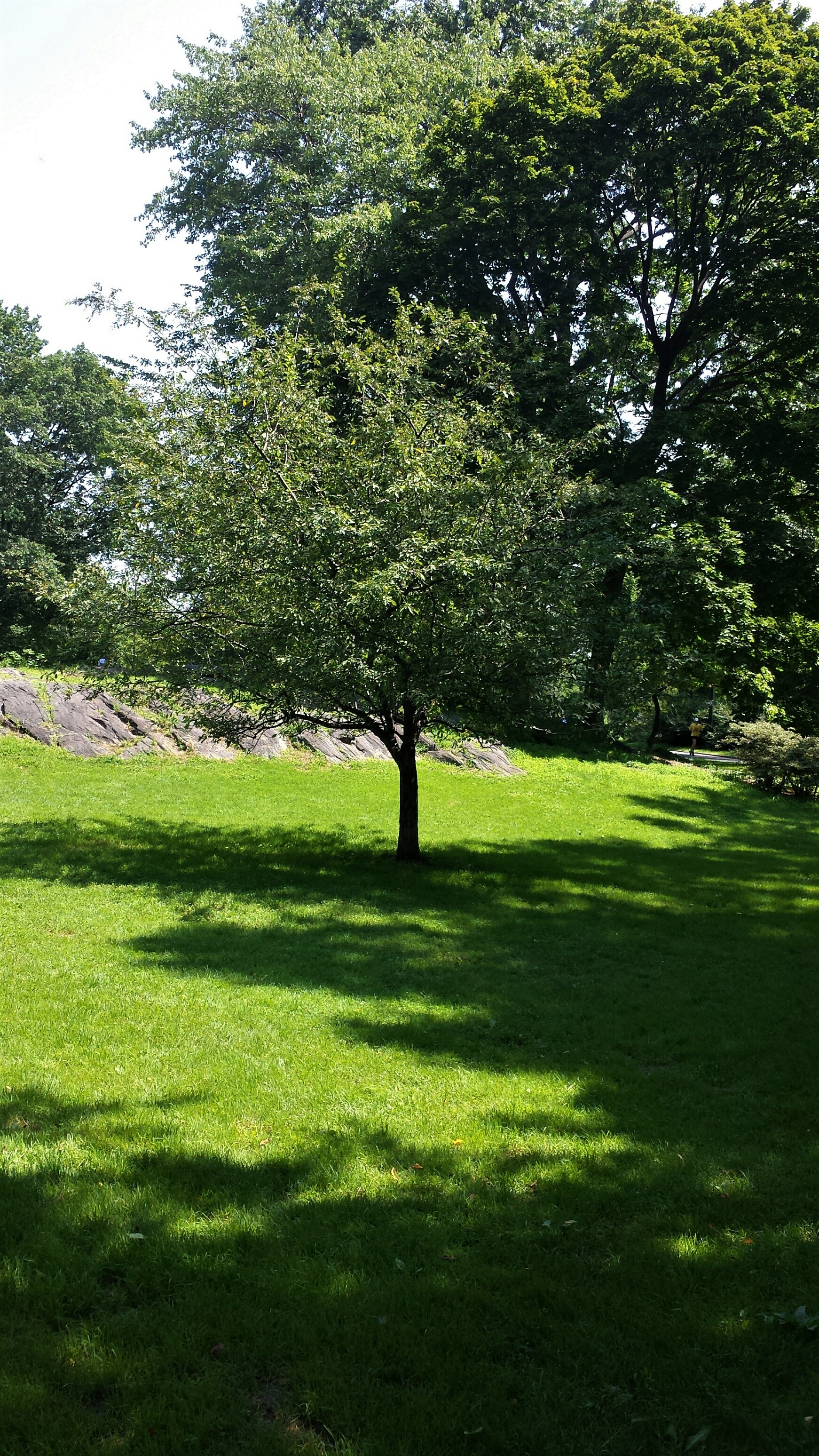 A place for peace NaamaYehuda