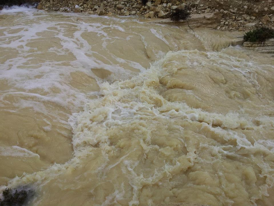 flash flood OfirAsif