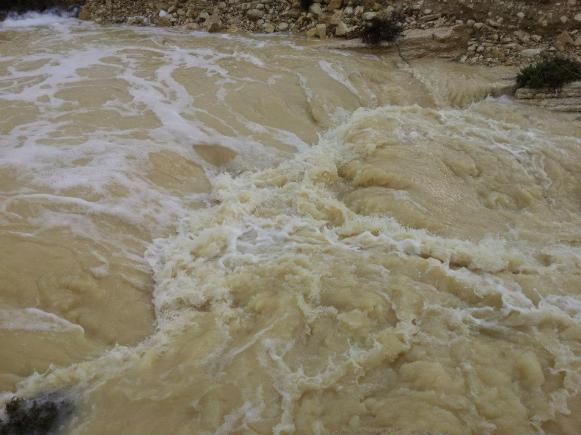 flash flood OfirAsif