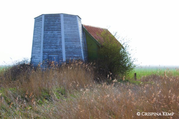whitewashed-mill-in-mist-cp CrispinaKemp