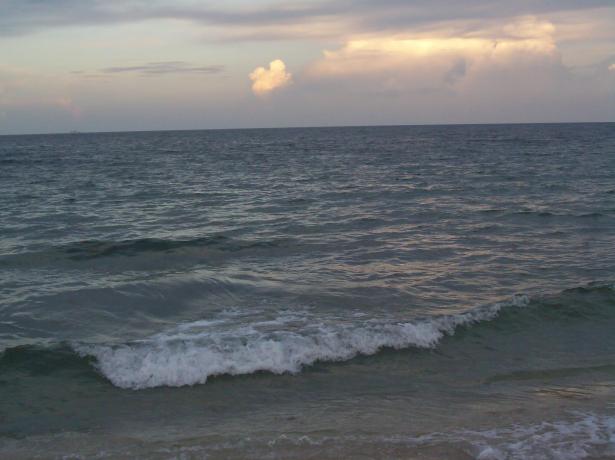 ocean curl NaamaYehuda