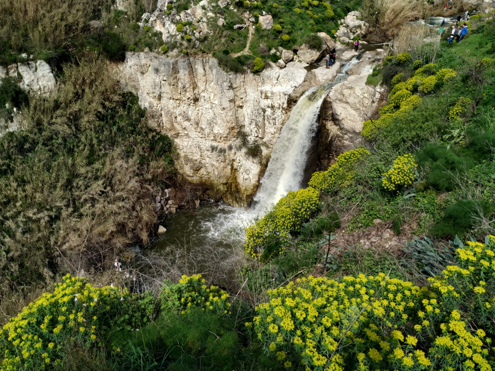 Waterfall A Levenberg