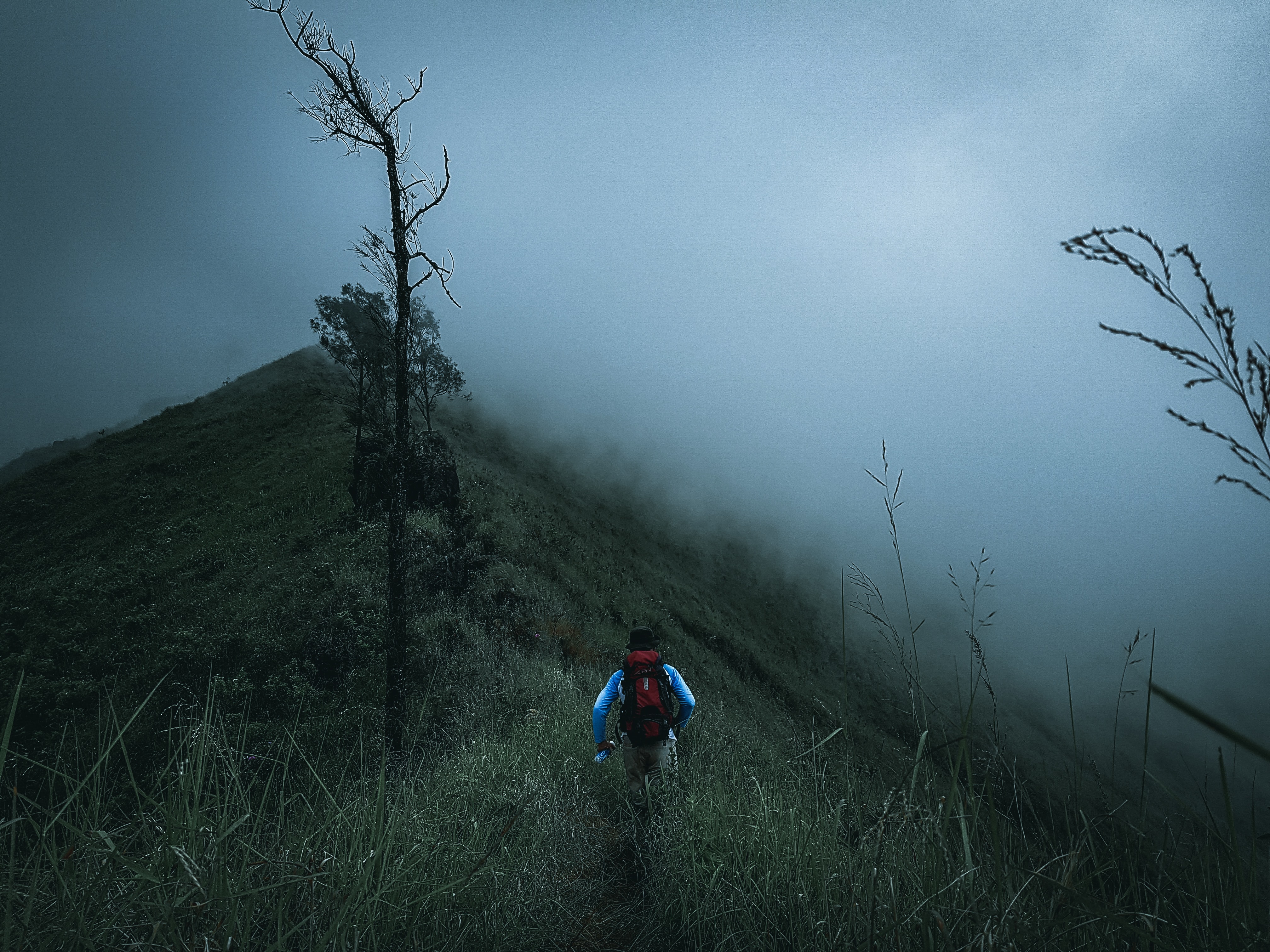 adi-yusuf-j-UTH7jAnUs-unsplash