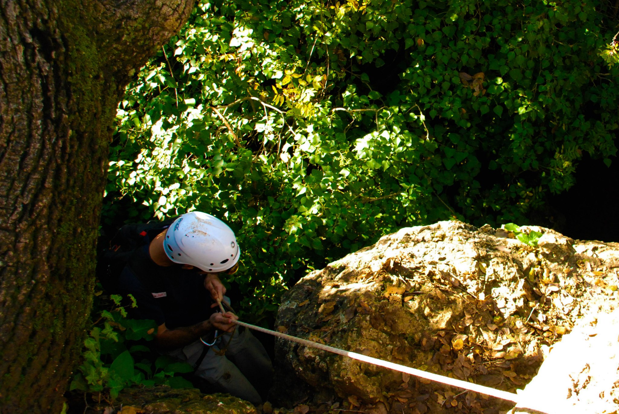 down you go AmitaiAsif