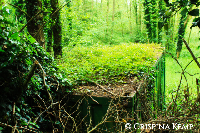 green-shed-in-trees CrispinaKemp