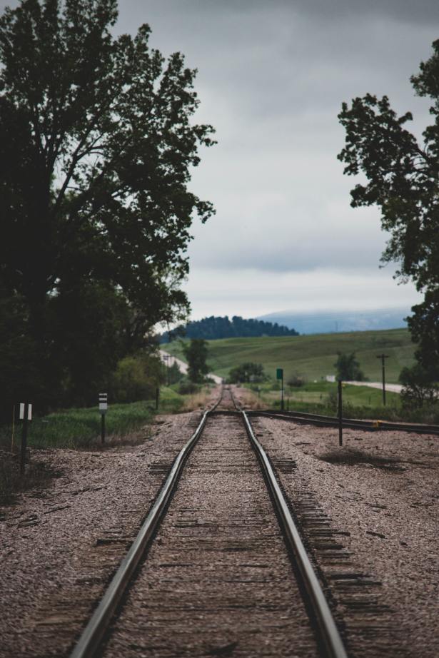 jon-sailer-_qiYQFHnH5Q-unsplash