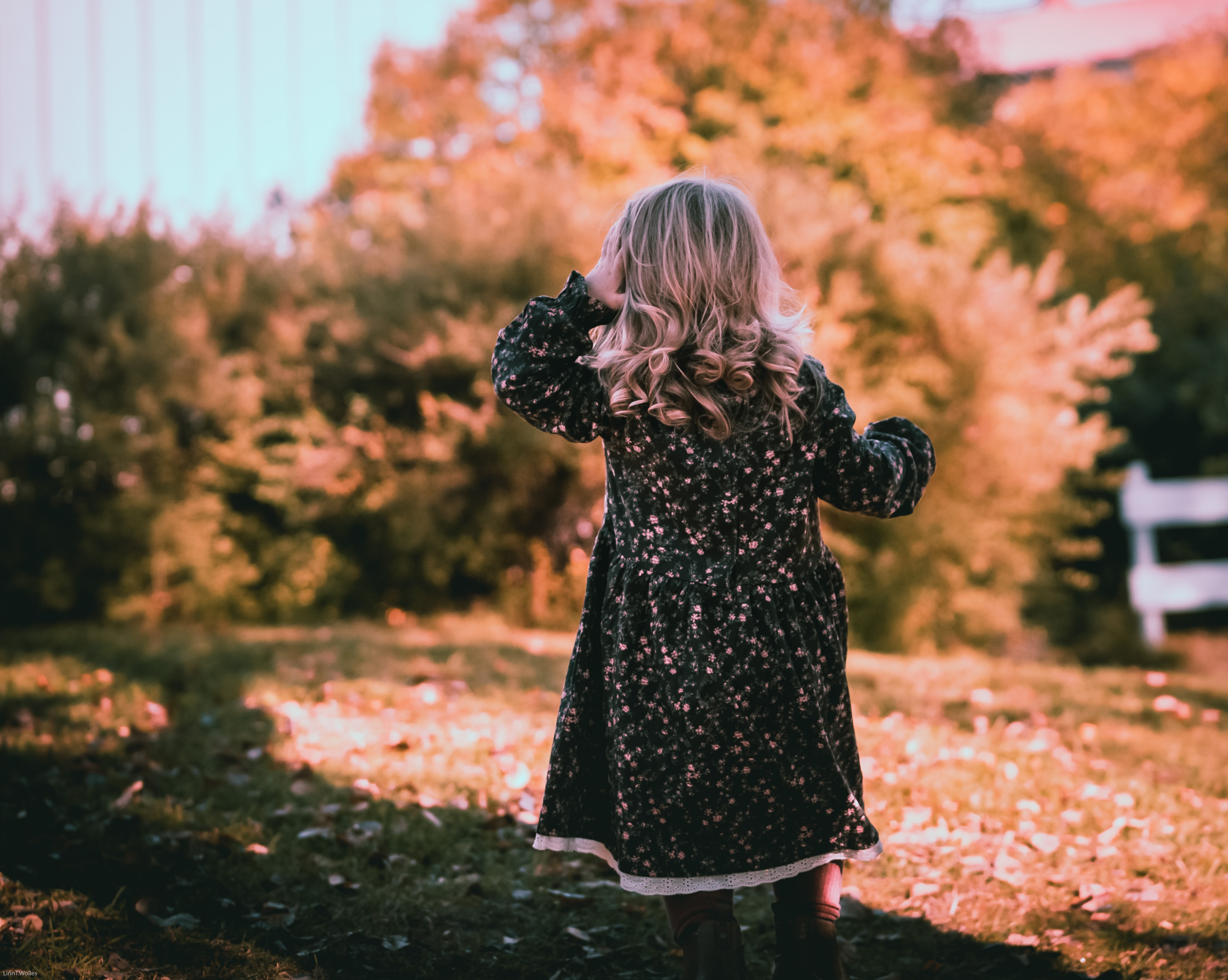 linn-w-dMtq7XTCn4Q-unsplash