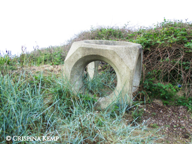 cubed-nut CrispinaKemp