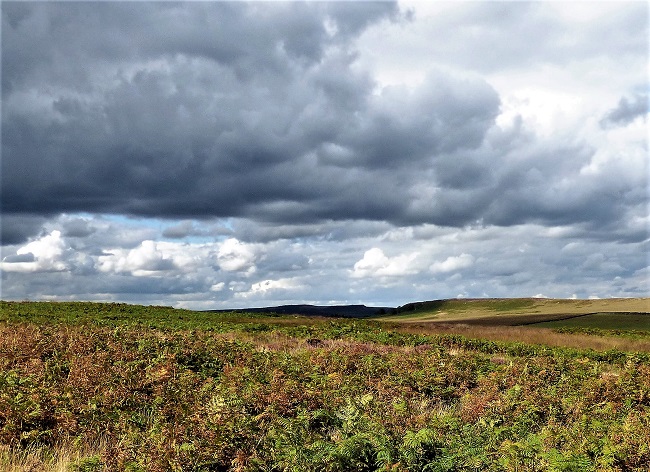 dark-clouds-on-a-sunny-day SueVincent