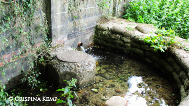 gunton-well CrispinaKemp