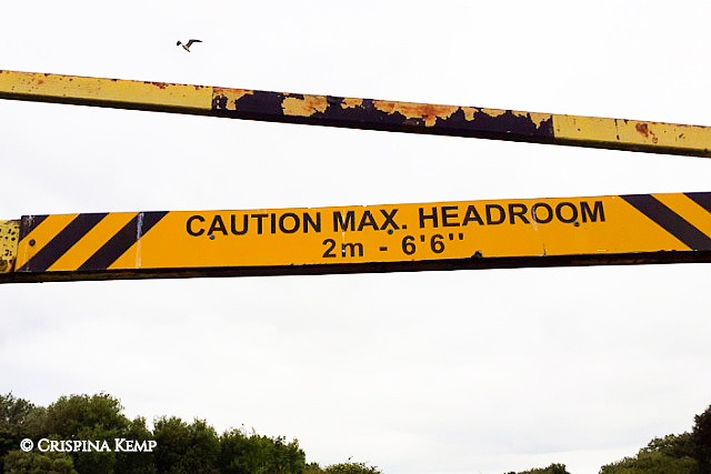 max-headroom CrispinaKemp