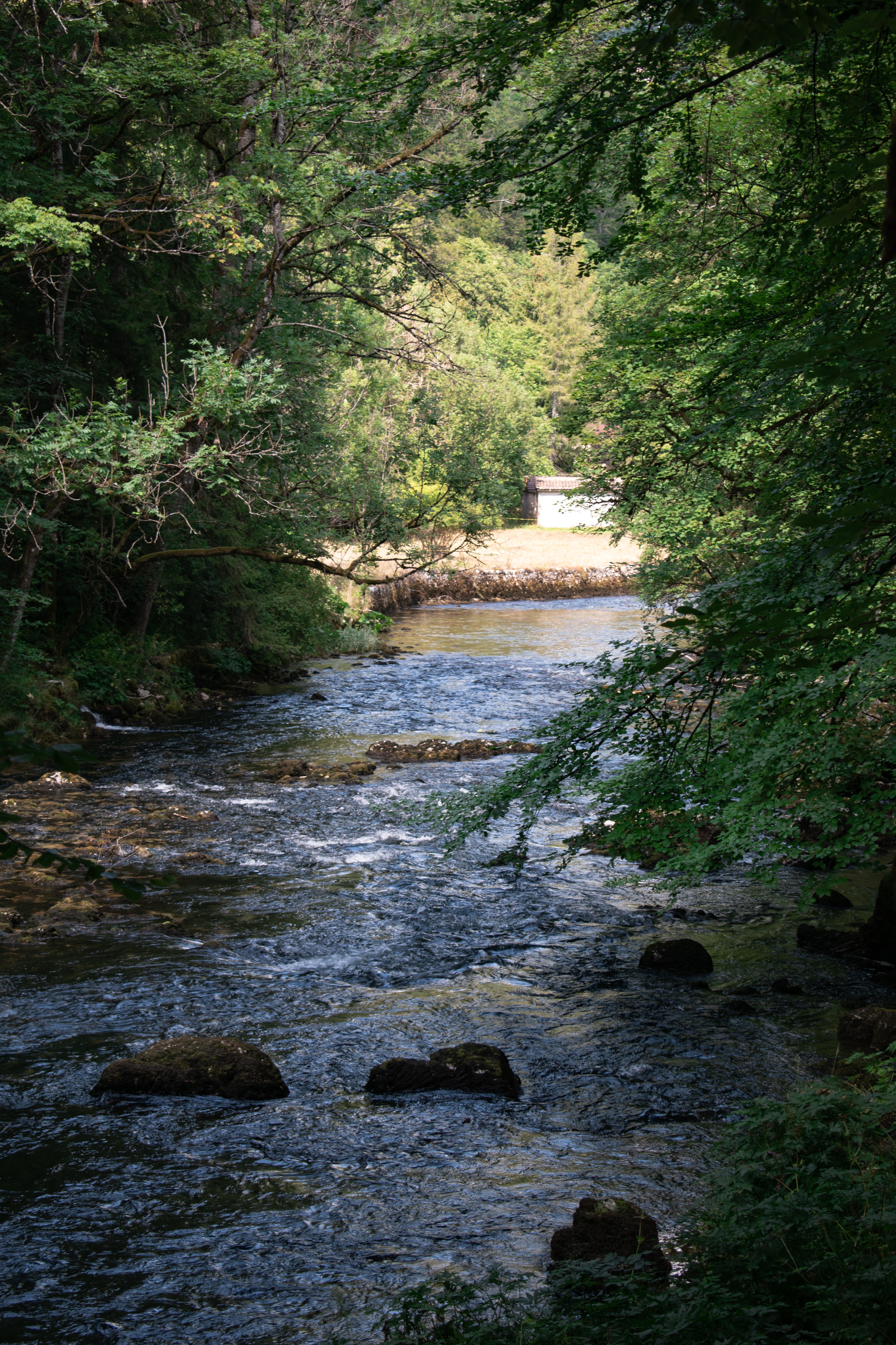 nolan-krattinger-puAvRT5W9Mk-unsplash