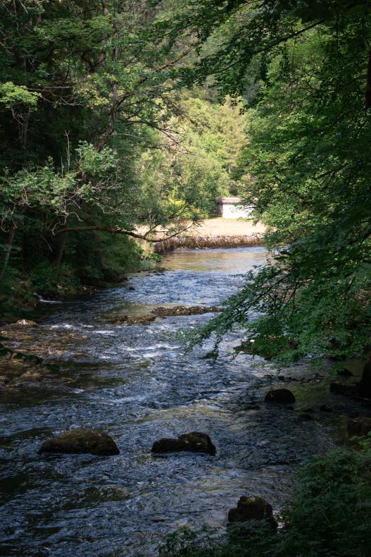 nolan-krattinger-puAvRT5W9Mk-unsplash